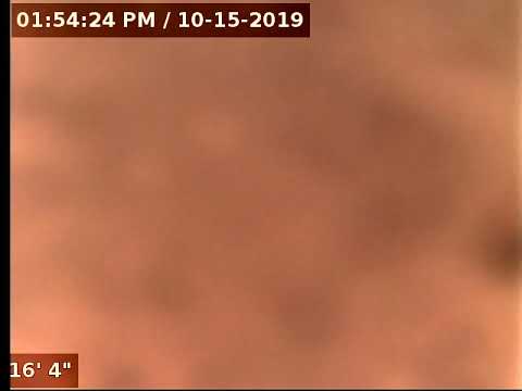 55049   651 Rolling Hills Road 4