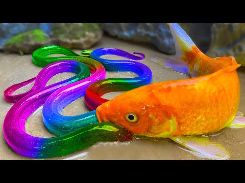 I Caught A Huge Fish and Cooked It in a Big Tandoor! Fish Day in the Village - Stop Motion ASMR Eels