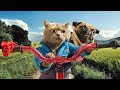 Cat and Dog Road Trip von AaronsAnimals Cat and Dog Road Trip von AaronsAnimals