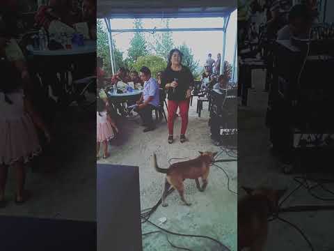 Persembahan Clarice Vitini Di Kokol