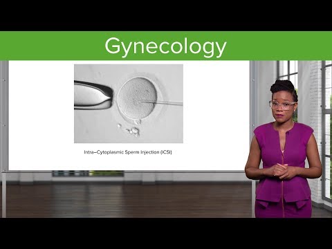 Gynecology Course Preview | Lecturio