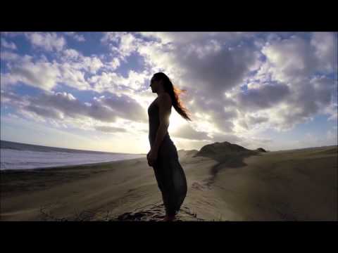 Atlantis vs. Avatar - Fiji (Allen & Envy Remix) [Video]