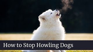 How to Stop Howling Dogs || How to stop dogs from howling when left alone