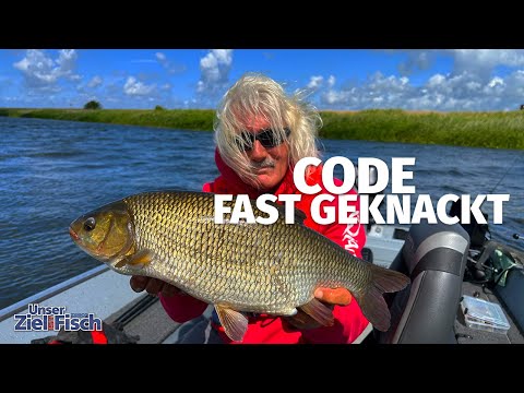 KOMISCHE BARSCHE - KLEINE WOBBLER  können DAS - Unser Ziel ist Fisch - ANGELSCHULE mit JÖRG OVENS