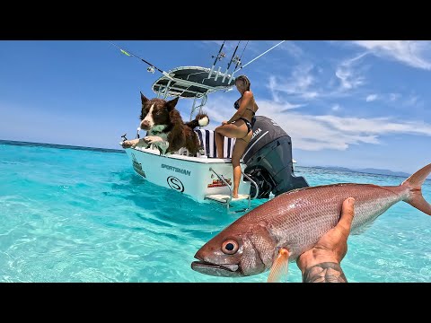 Fishing the GREAT BARRIER REEF | (catch & cook) what is this fish?