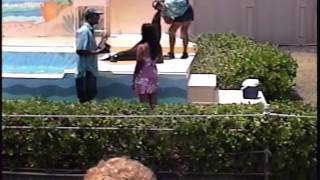 Sea Lion Tricks at Sea Life Park Oahu Hawaii Dolphon Cove Hawaiian Ocean Theater Penguin Review