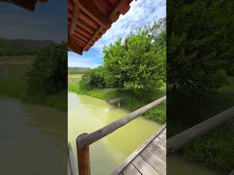 Fazenda 45 alqueires ( 217,8 hectares )- Vila Propicio -GO a 200 km de Goiânia #fazendaavenda #agro