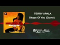 Terry Apala - Shape Of You Cover [Official Audio]