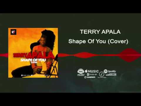 Video thumbnail for Shape of You Cover