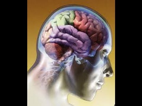 Diabetes hipertensión historial médico Concepto de hipo e hipertensión