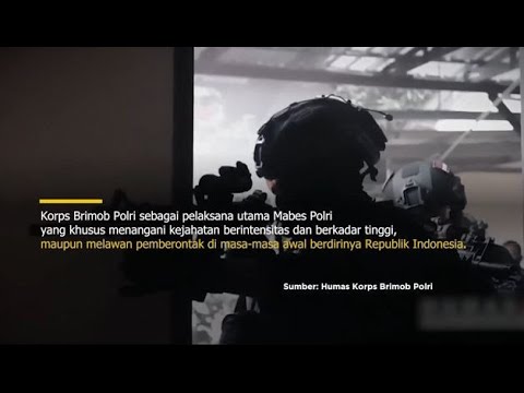 HUT KE 79 KORPS BRIMOB POLRI - BRIMOB PRESISI MENUJU INDONESIA MAJU