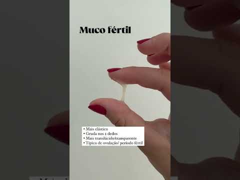 Tipos de mucos cervicais! #shorts #majuferreira