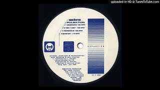 Sedona - Pulsation (Rob Vaughn's Test Tube Remix)  [1995]