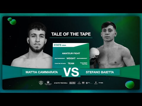 Stefano Baietta vs Mattia Cammarata | MMA Fight | Lutador de Elite XII #mma #mmafighter