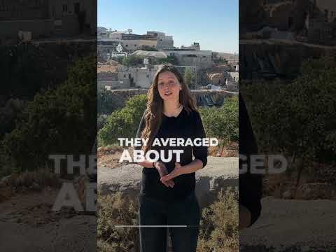 Israeli settler attack on at-Tuwani