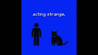 Download lagu ANALOG HORROR - Cute Cats! mp3