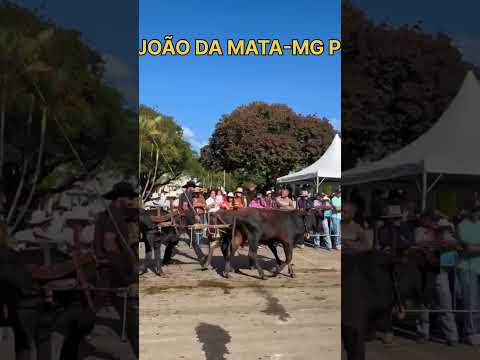 CLENILTON CARREIRO EM TURVOLANDIA-MG
