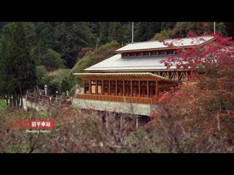 阿里山國家森林遊樂區－春季篇