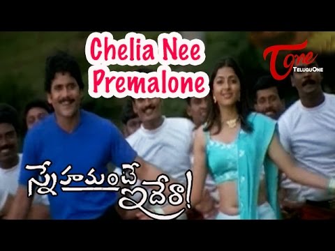 Snehamante Idera Songs - Chelia Nee Premalone - Nagarjuna - Bhoomika
