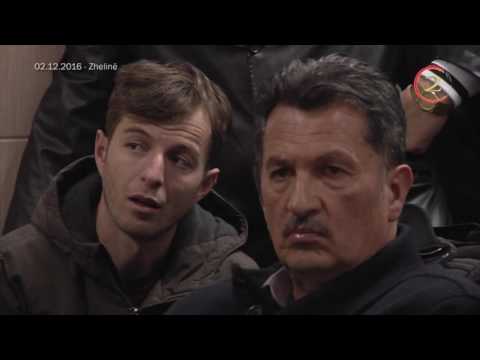 Tubim i PDSH-së në Zhelinë