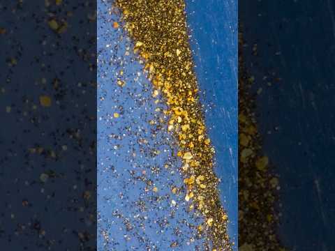 I Tried Gold Panning at Home and This Happened!