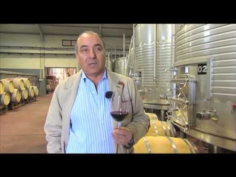 Vinhos de Portugal 2013