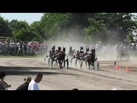 Trka "Doroti IT 2003" 30.06.2019 Eskarne - Andor Anđal