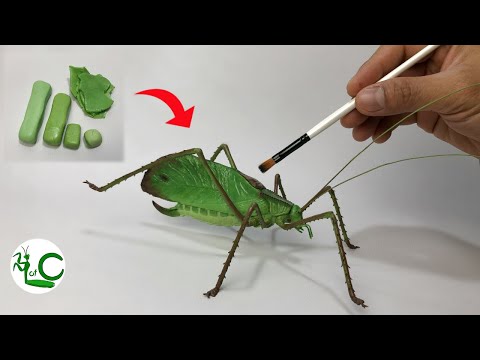 Sculpting Malaysian Giant Long-legged Katydid (Arachnacris corporalis) Polymer Clay Insect Sculpture