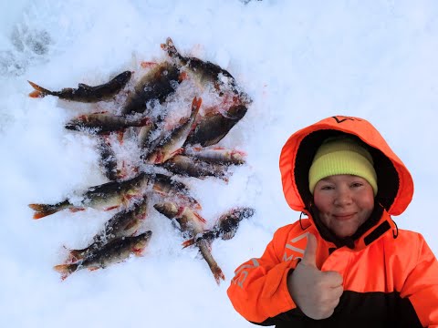 AHVENTA LÄHES JOKA REIÄSTÄ METSÄJÄRVELTÄ! - AHVENEN PILKINTÄÄ SIIKAJÄRVELLÄ
