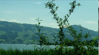 *MILTON NASCIMENTO*  -  *FRANCISCO ( 1976 )*