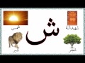 Alif Si ALLAH