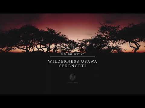 Wilderness Usawa Serengeti - On The Move