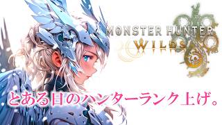 【】【モンハンワイルズ】とある日のHR 上げ。