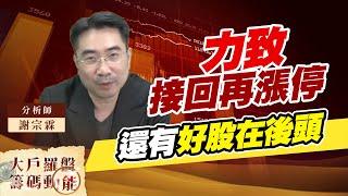 力致接回再漲停 還有好股在後頭 (圖)