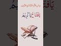 Beautiful Islamic Video Islamicstatus Wazifa Wazifaforhajat Shorts Allah