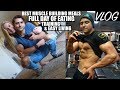 Best Muscle Building Meals Full Day Of Eating, Gym and Lifestyle | Student Bodybuilding