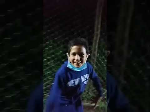 VIAGEM À UM BOSQUE EM ARARUNA - PARANÁ. 