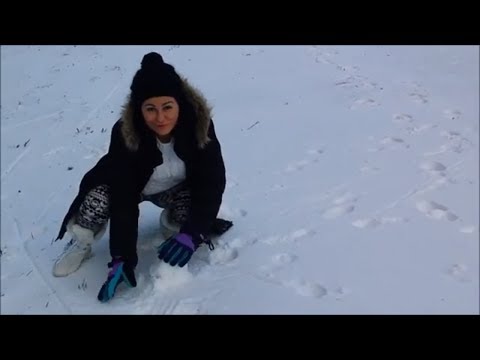 Ski Resort- Maribor Pohorje Ski Resort (Mariborsko Pohorje) The Largest Ski Resort In Slovenia