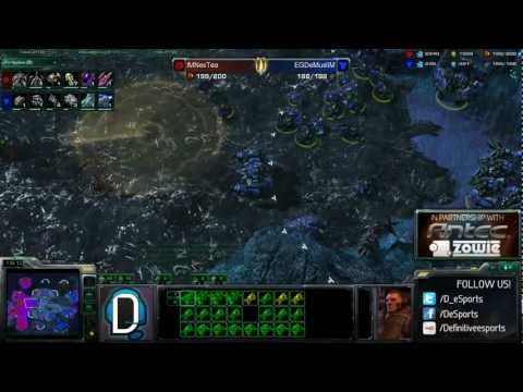 D-eSports AOP casting - IM.NesTea vs EG.DeMusliM (ZvT)