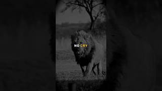 Download lagu Sigma Rule🔥👿 || Strong Mindset🦁👑 || Motivation quotes #shorts #attitude #sigmarule mp3 Download lagu Sigma Rule🔥👿 || Strong Mindset🦁👑 || Motivation quotes #shorts #attitude #sigmarule mp3