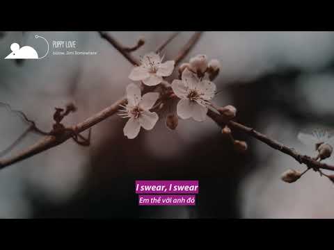 [Lyrics+Vietsub] bülow, Jimi Somewhere - Puppy Love