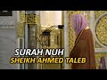Imam Of Masjid Nabawi Sheikh Ahmed Taleb Surah Nuh