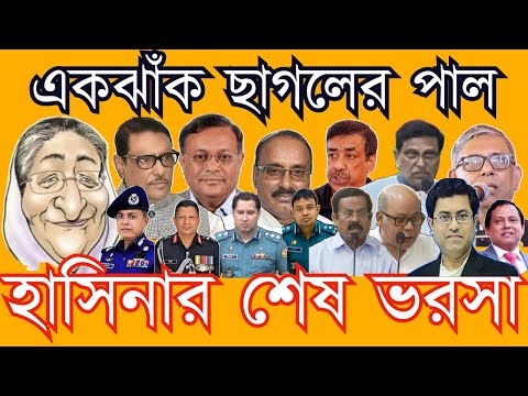 একঝাঁক ছাগলের পাল হাসিনার শেষ ভরসা#Nazmul_Hasan #New_York_Voice