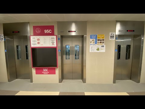 (New window design!) Fujitec lifts at Block 95C MacPherson Weave