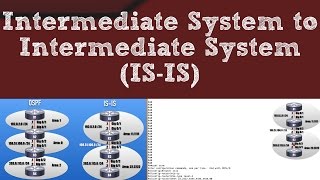 Download the video "Intermediate System to Intermediate System (IS-IS) Routing Protocol Fundamentals"