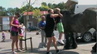 preview picture of video 'Zomermarkt in Kamperland'