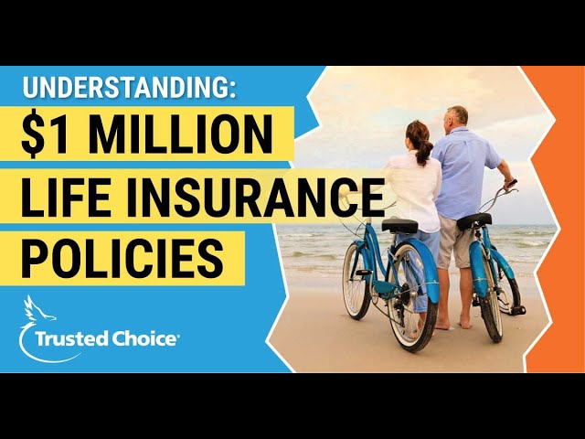 What Is A Paid Up Life Insurance Policy - MeaningHippo