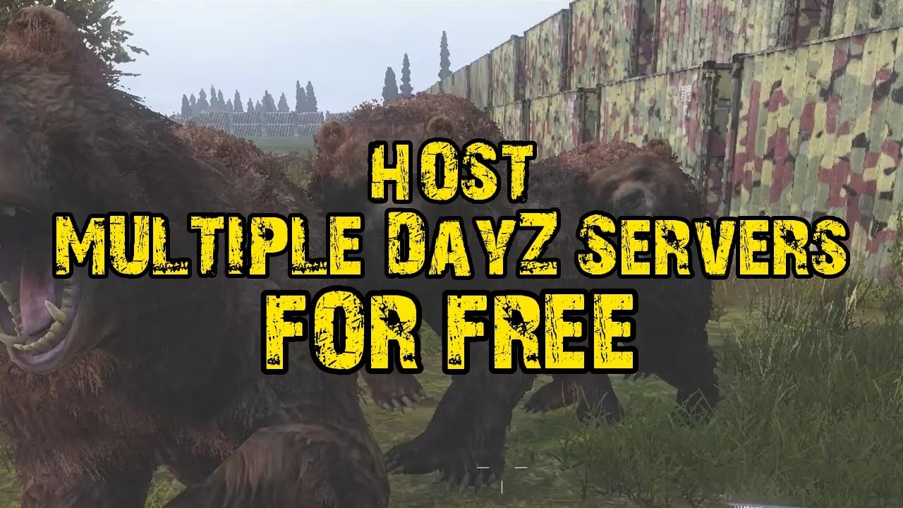 Host Multiple DayZ Servers for FREE — Full Self-Hosting Guide (No Monthly Fees)
