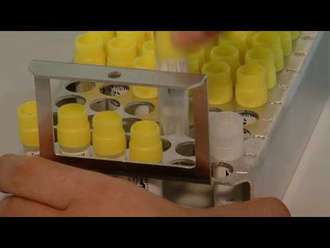 ASKION C-line control