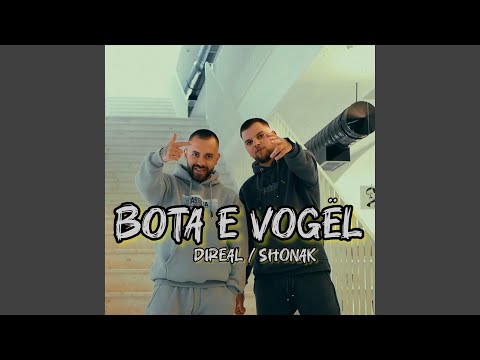 Bota e Vogel (feat. Shonak)